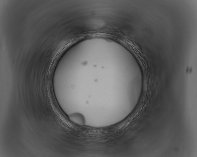 X0000091660049200708231000