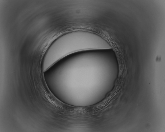 X0000091660050200708231000