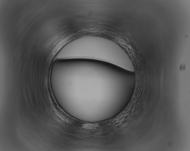 X0000091660051200708231000