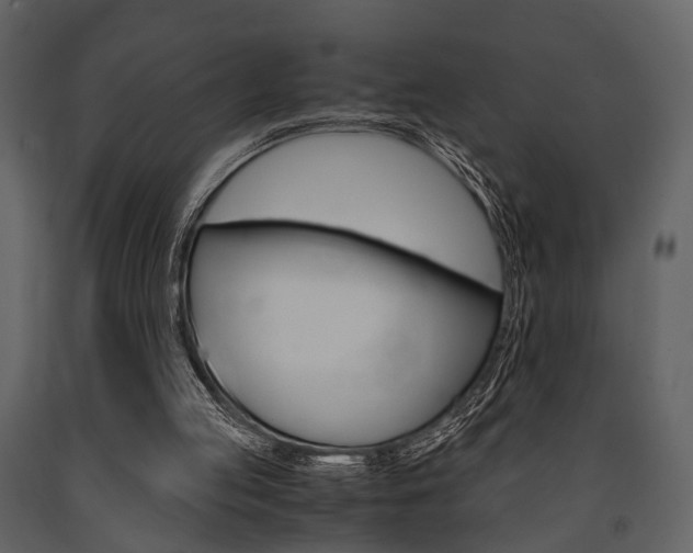 X0000091660053200708231000