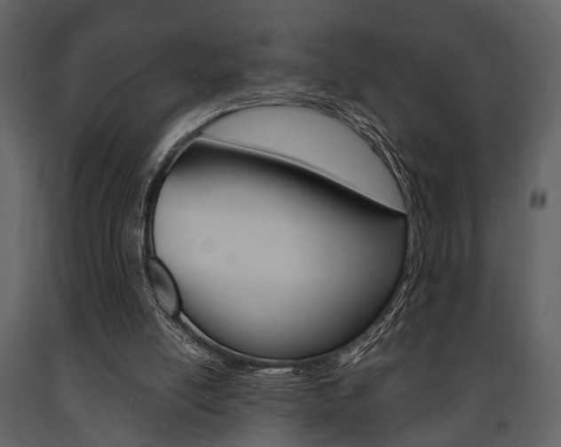 X0000091660054200708231000