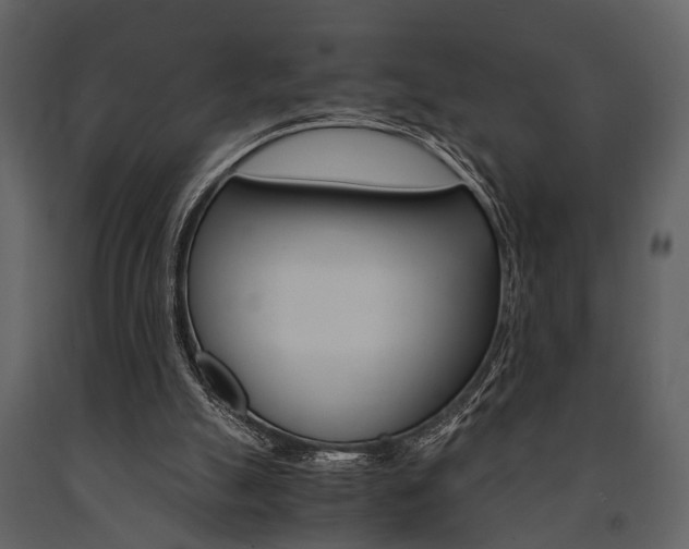 X0000091660055200708231000