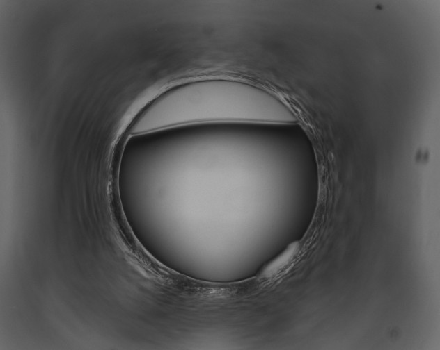 X0000091660056200708231000