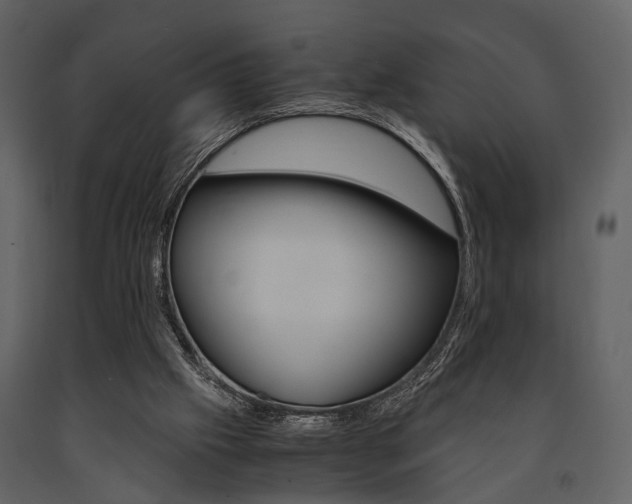 X0000091660057200708231000