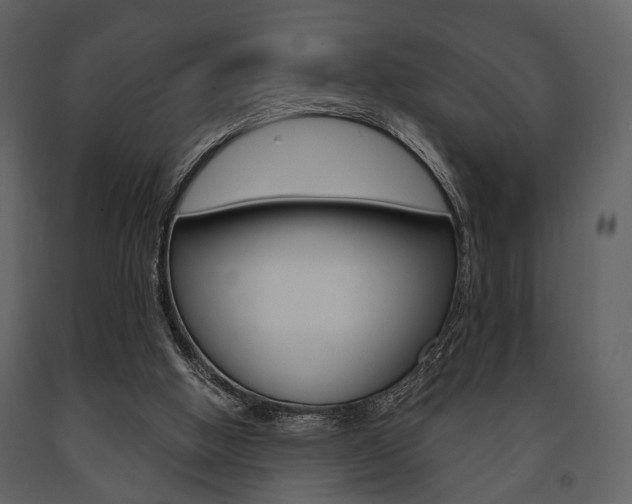 X0000091660058200708231000
