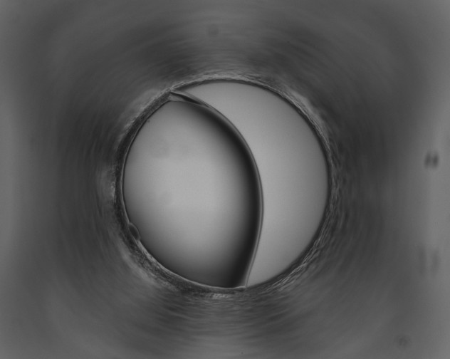 X0000091660060200708231000