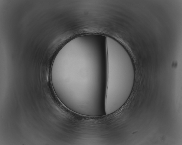 X0000091660062200708231000