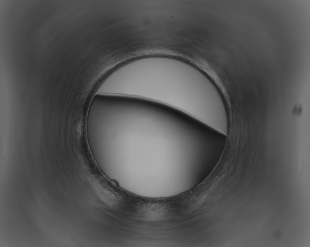 X0000091660063200708231000