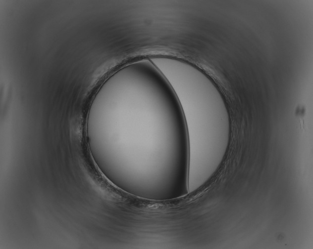 X0000091660064200708231000