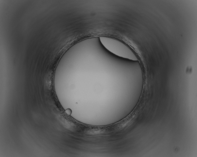 X0000091660065200708231000