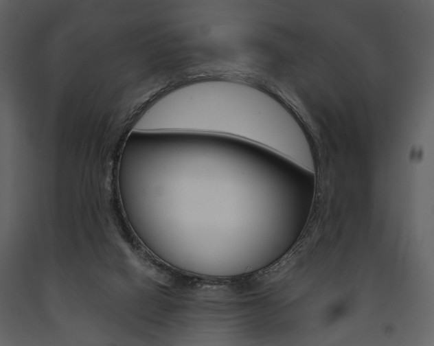 X0000091660066200708231000