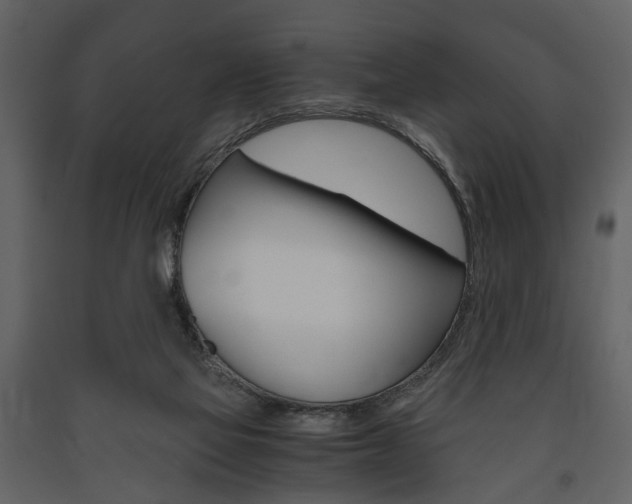 X0000091660069200708231001