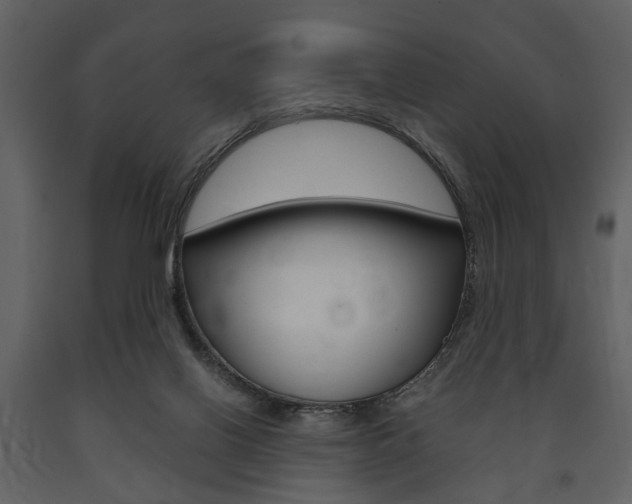 X0000091660070200708231001