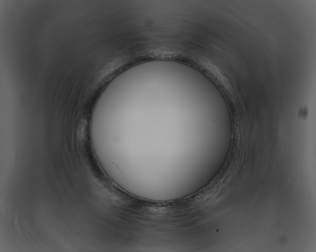 X0000091660071200708231001