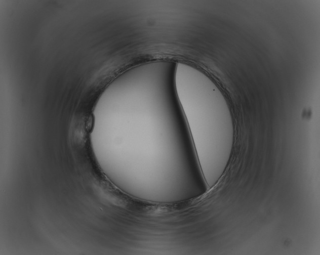 X0000091660074200708231001