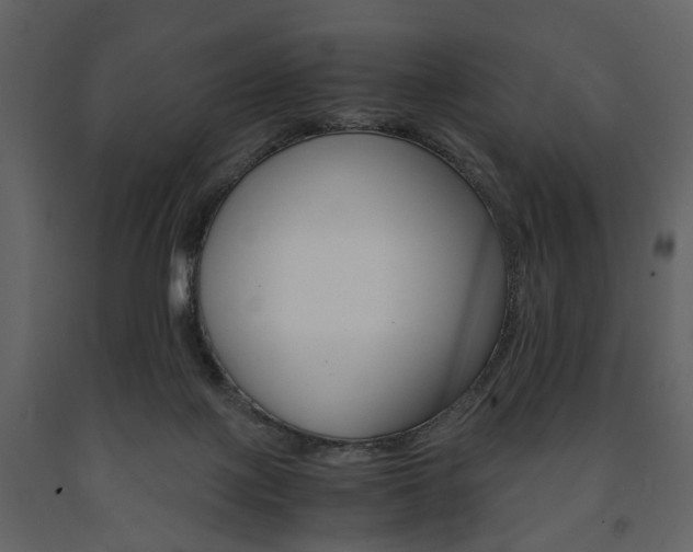 X0000091660075200708231001