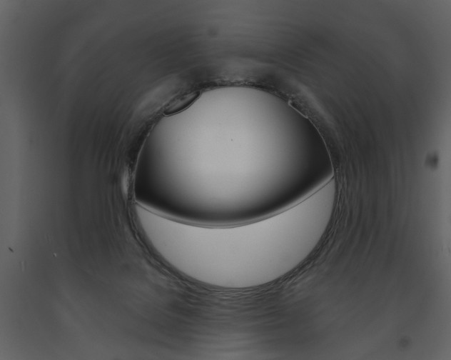 X0000091660076200708231001