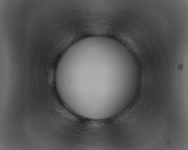 X0000091660077200708231001