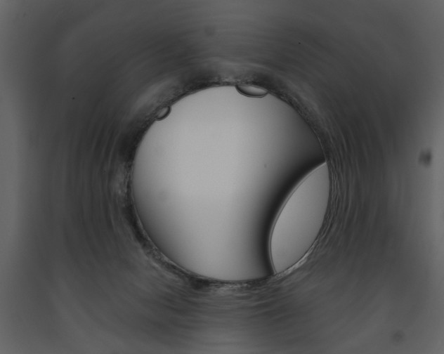 X0000091660078200708231001