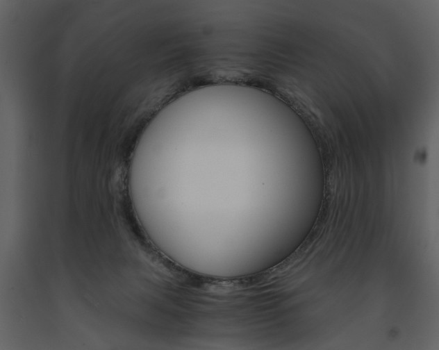X0000091660079200708231001