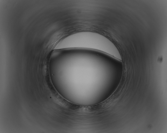 X0000091660080200708231001