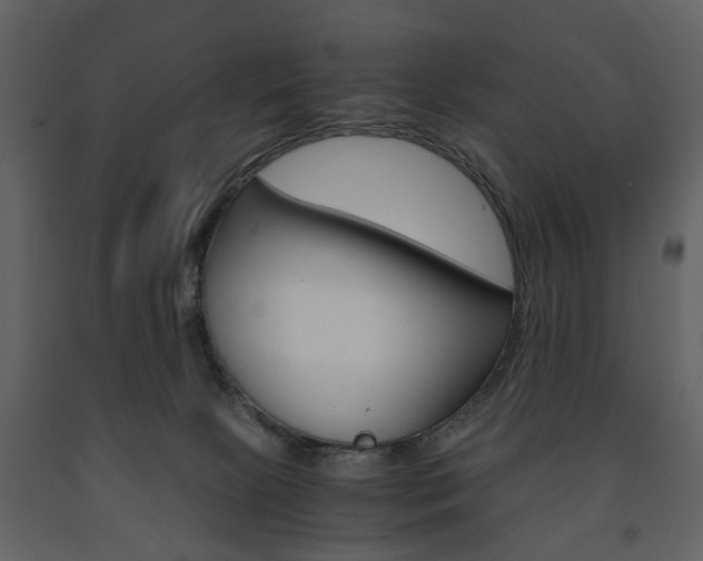 X0000091660081200708231001