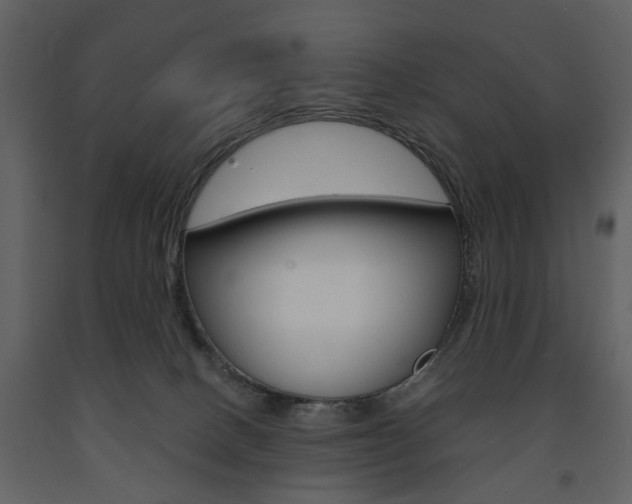 X0000091660082200708231001