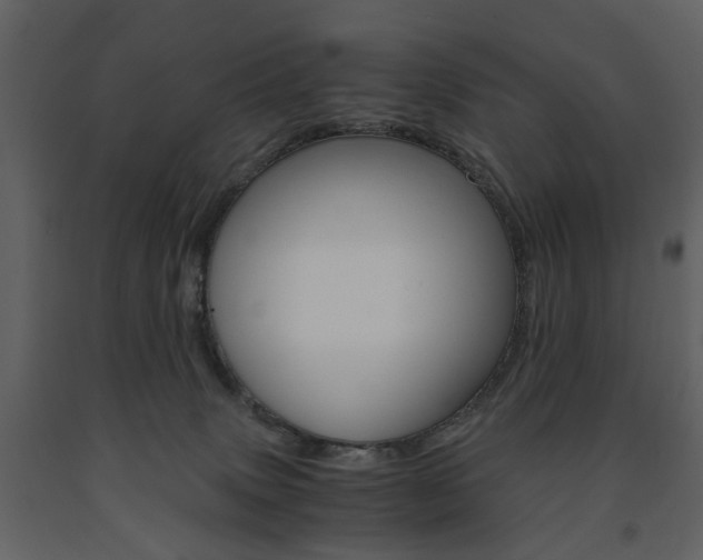 X0000091660083200708231001