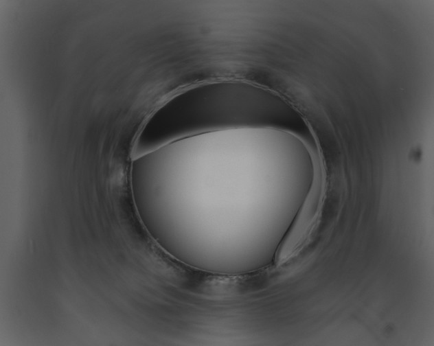 X0000091660084200708231001
