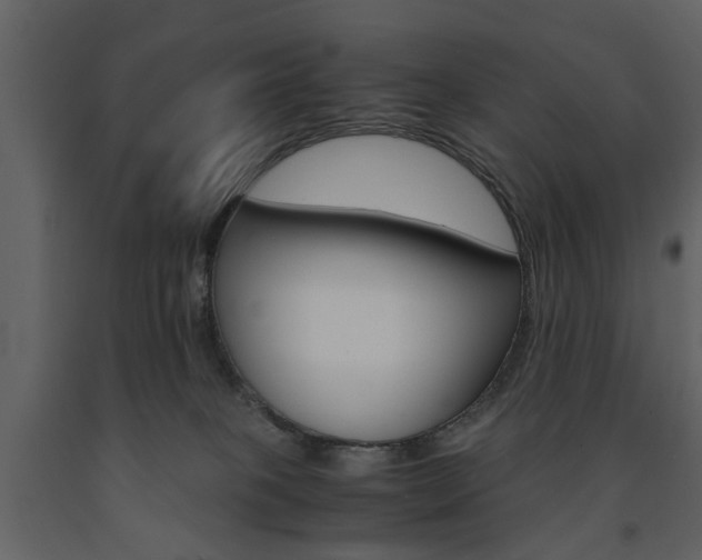 X0000091660085200708231001