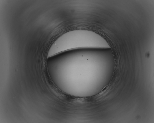 X0000091660086200708231001