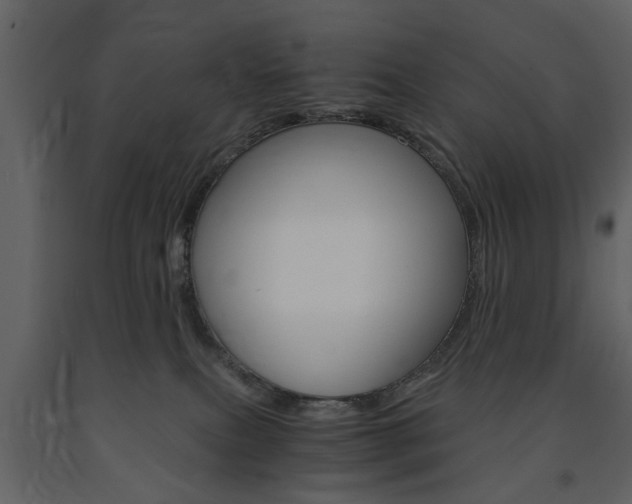 X0000091660087200708231001