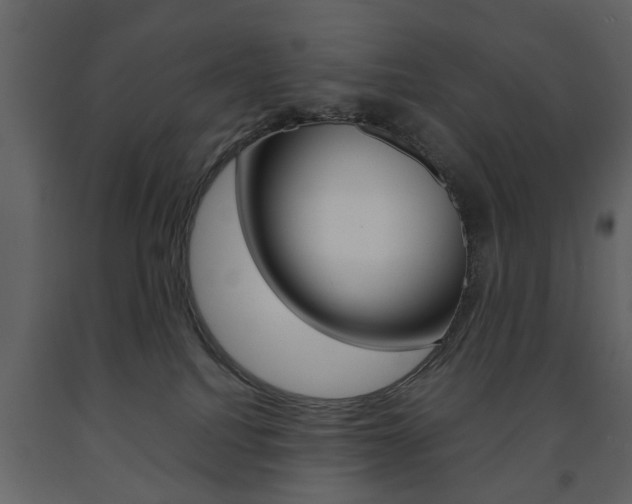 X0000091660088200708231001