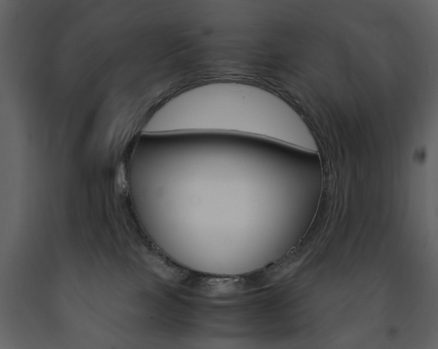 X0000091660089200708231001