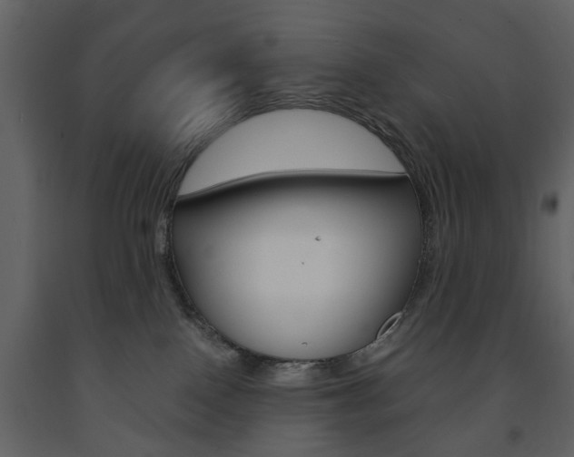 X0000091660090200708231001