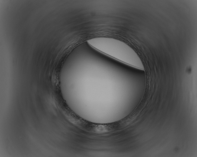 X0000091660091200708231001