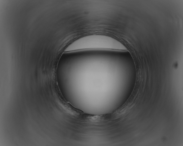 X0000091660092200708231001
