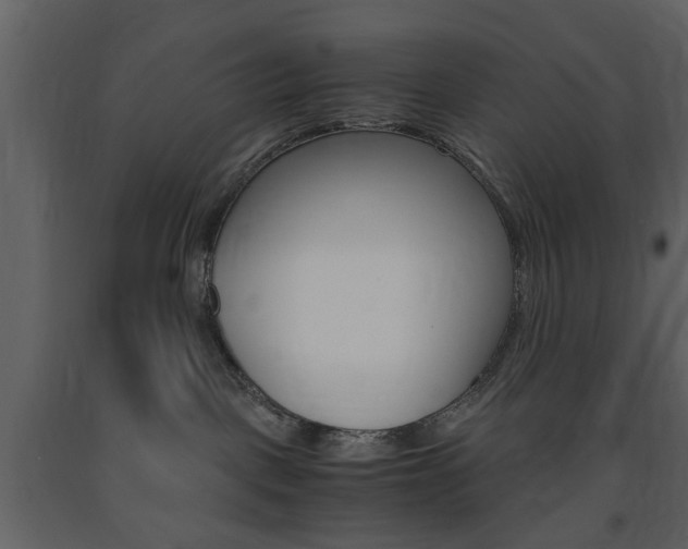 X0000091660093200708231001
