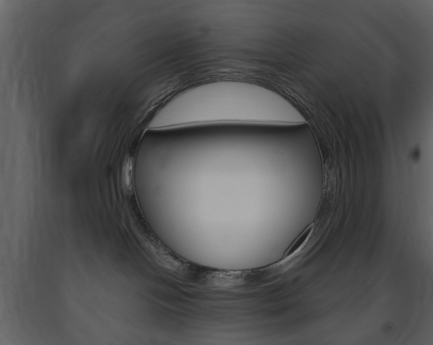 X0000091660094200708231001