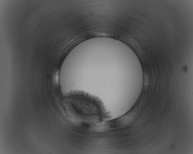 X0000091660095200708231001