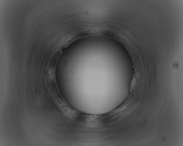 X0000091660096200708231001