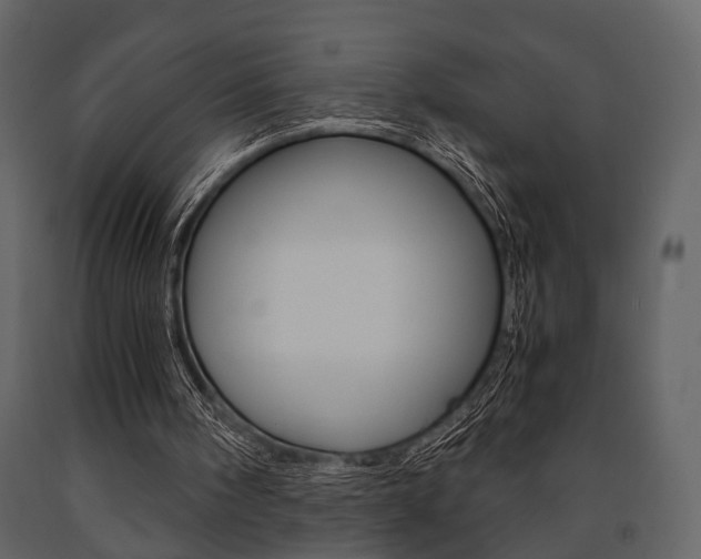 X0000091660098200708231000