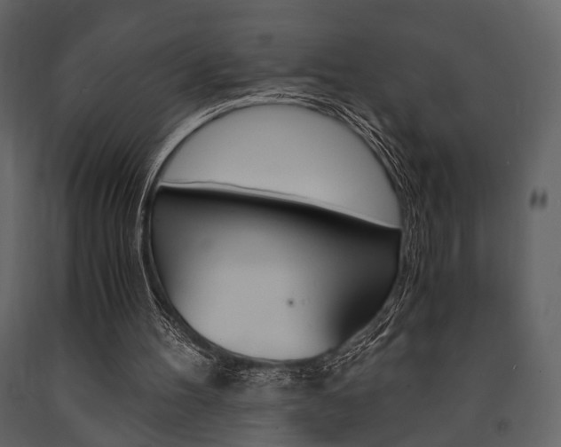 X0000091660100200708231000
