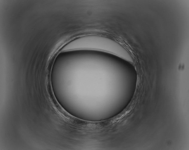 X0000091660101200708231000