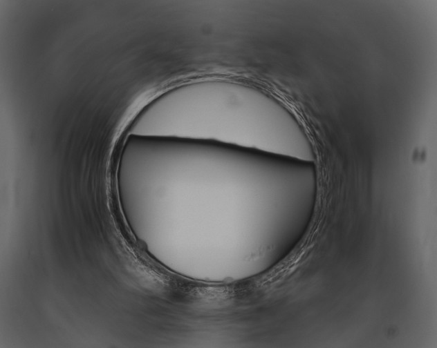 X0000091660102200708231000