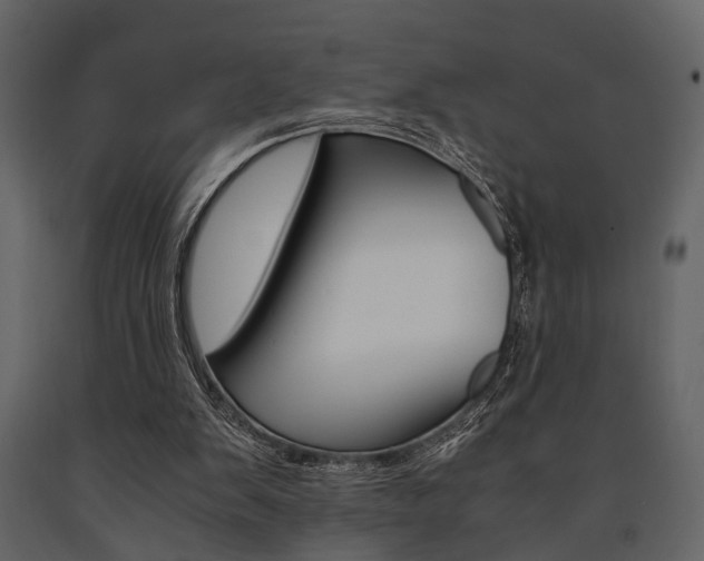 X0000091660103200708231000