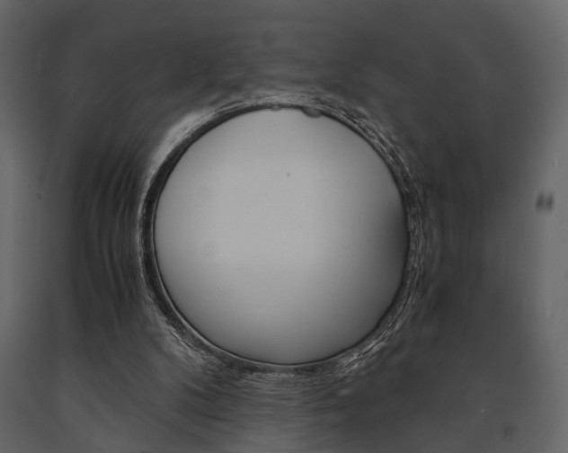 X0000091660104200708231000