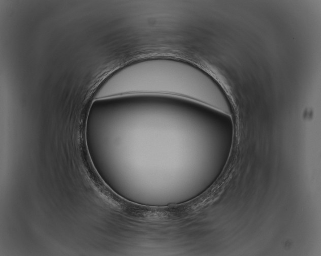X0000091660105200708231000