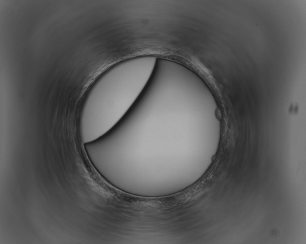 X0000091660106200708231000