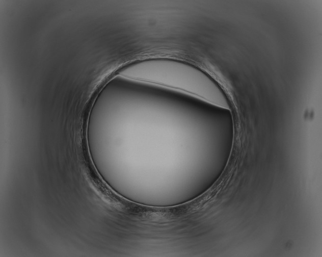 X0000091660107200708231000